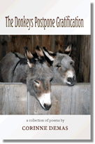 Donkeys - cover