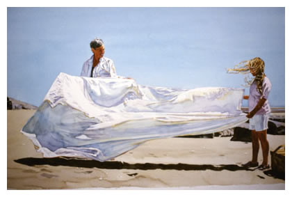sheet
